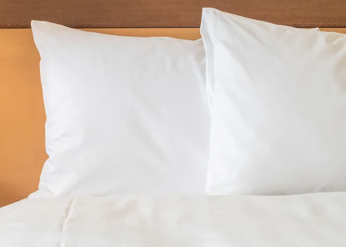 Crowne Plaza - Republique By Ihg 4*